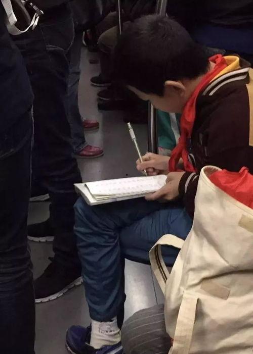 国产小鲜肉gv视频合集,GV视频合集精彩盘点