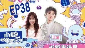 国产甜剧安利视频大全,盘点那些让你甜到心坎的甜蜜瞬间